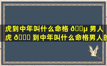 虎到中年叫什么命格 🐵 男人「虎 🐟 到中年叫什么命格男人的名字」